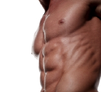 The side oblique muscles