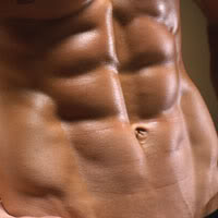 The lower abdominal muscles