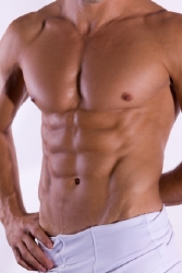 The abdominals have 4 main muscle groups