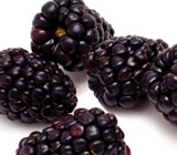 Blackberries