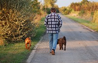 Go for walks to help reduce stress levels